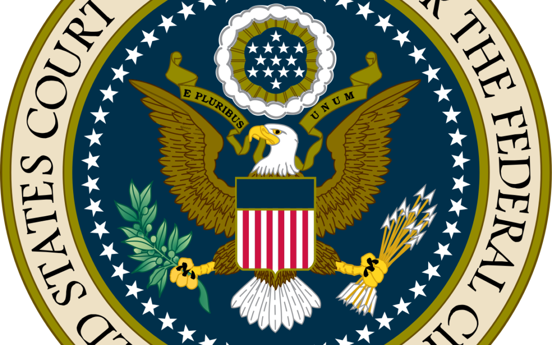 This CPA Not Rooting For AICPA In Its IRS Lawsuit