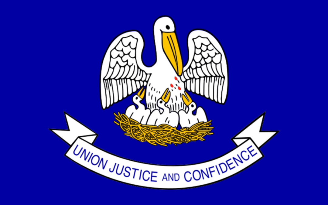 Chase Tries to Fix Mortgage Screw-up by Arguing Borrower Not Good at Latin